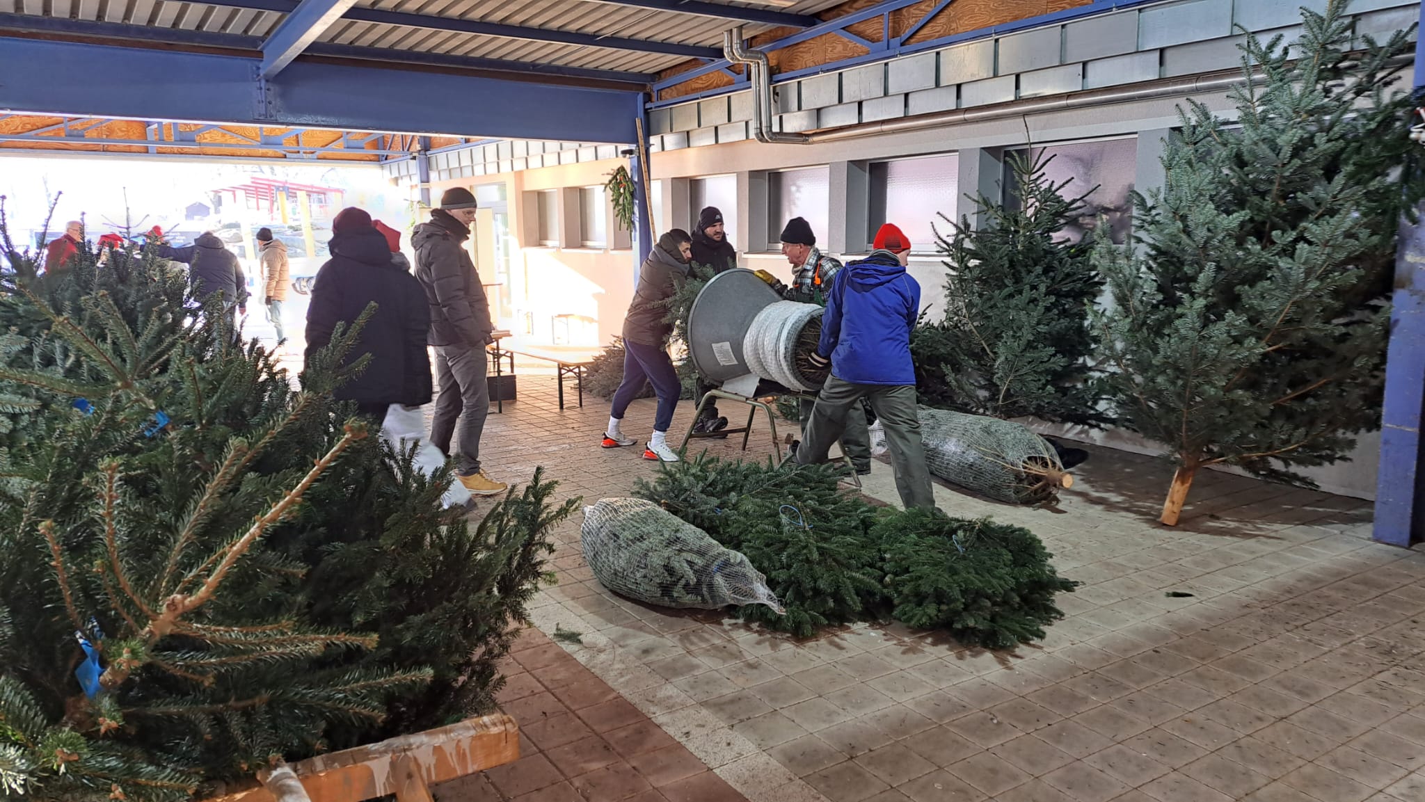 🎄Weihnachtsbaumverkauf am 07.12.2025