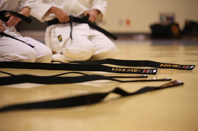 SVK-Karate Online-Training